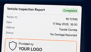 Vehicle report example